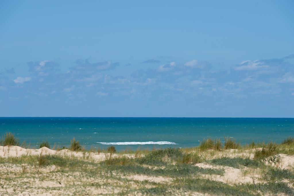 Ferret Vigne - Villa Chambres D'Hotes Lège-Cap-Ferret Esterno foto