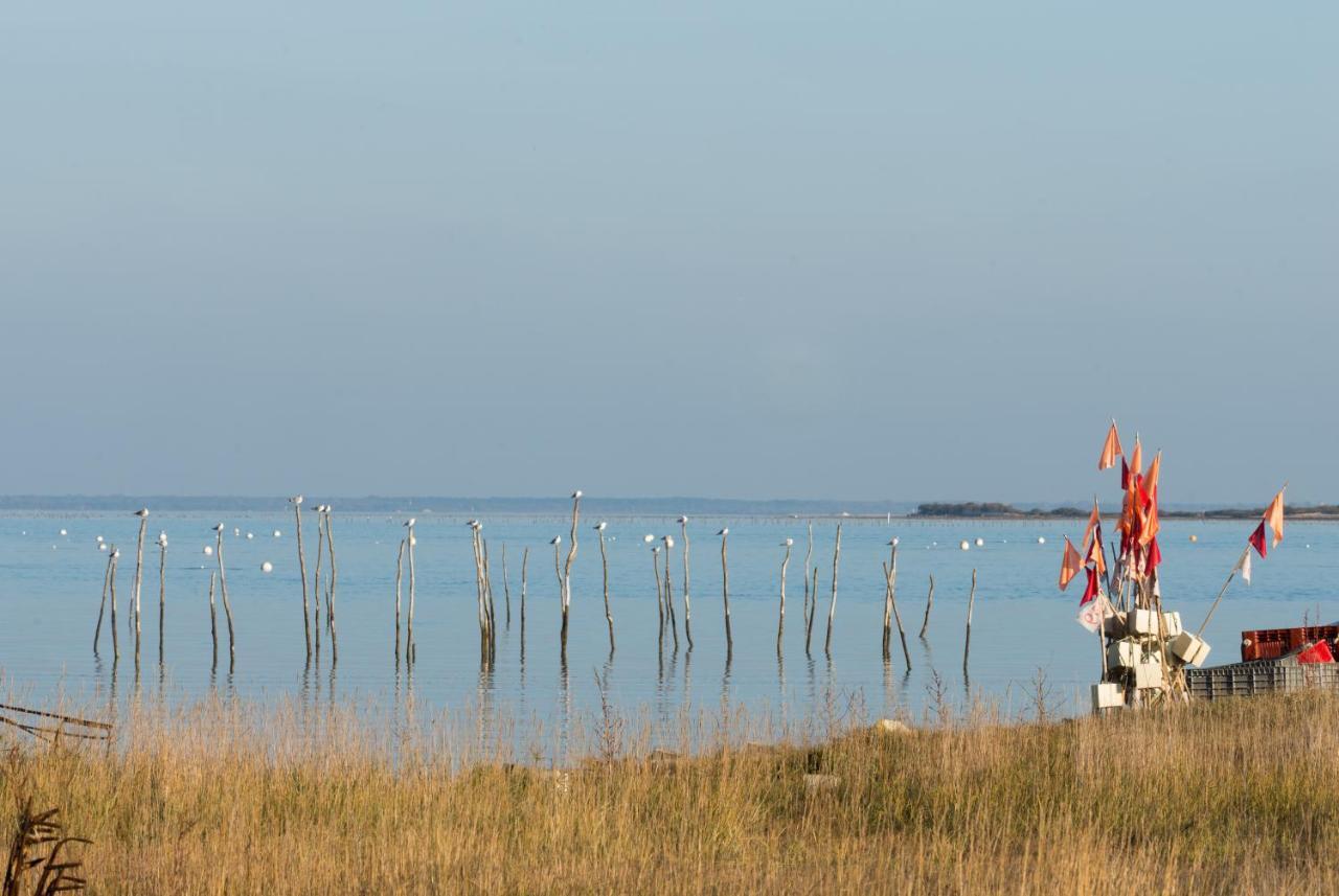 Ferret Vigne - Villa Chambres D'Hotes Lège-Cap-Ferret Esterno foto